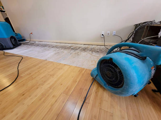 Professional Flood Damage Cleanup technician working in Bush, LA